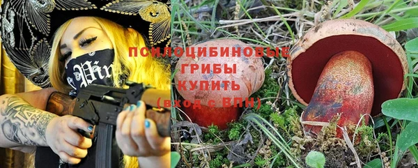 дживик Абинск
