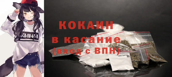 дживик Абинск