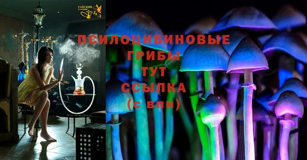 MDMA Лагань