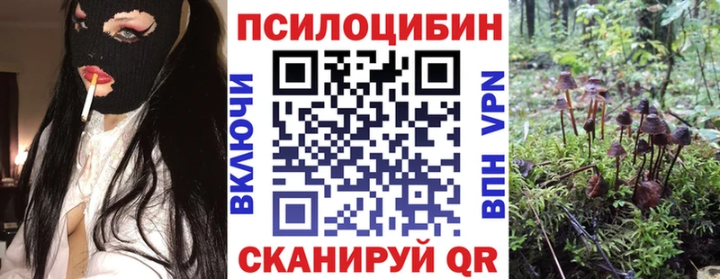 Псилоцибиновые грибы ЛСД  купить наркотики сайты  Назрань 