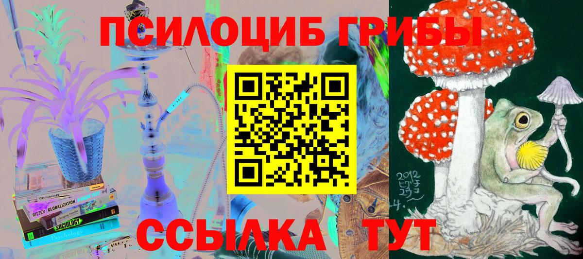 Назрань  Галлюциногенные грибы Cubensis  Вход с VPN  Псилоцибиновые грибы Magic Shrooms 